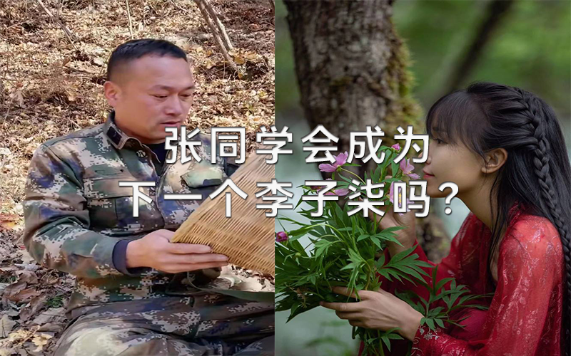 嘉弘傳媒